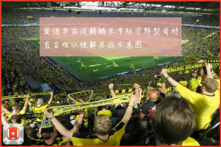 爱德华兹谈鹈鹕末节防守阵型奇特直言难以理解其战术意图