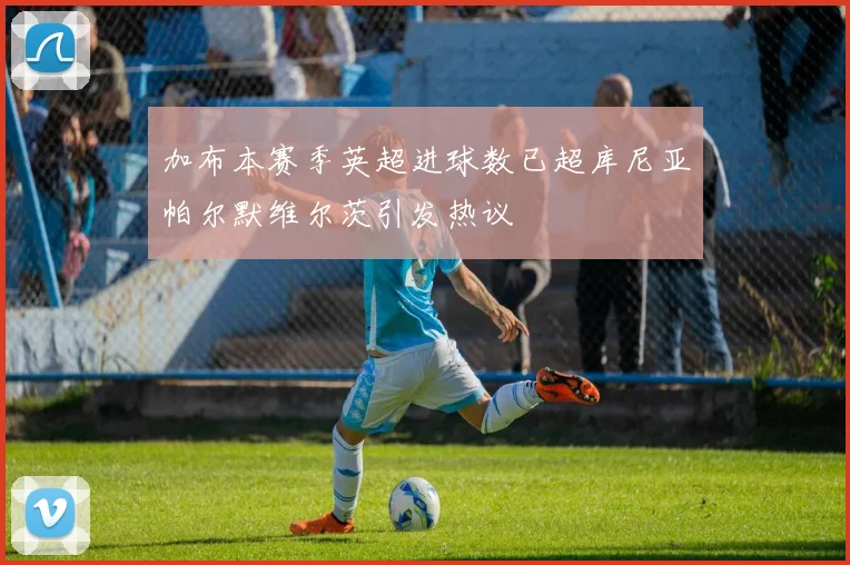 加布本赛季英超进球数已超库尼亚帕尔默维尔茨引发热议