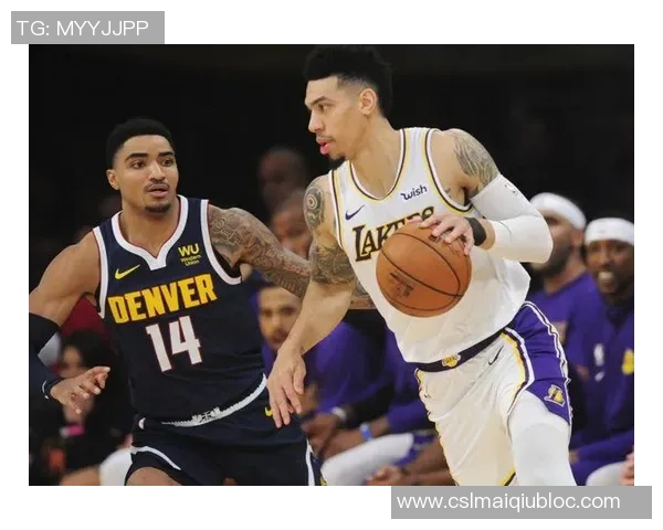 若哈里森继续留队浓眉明夏可执行选项并续约四年超两亿